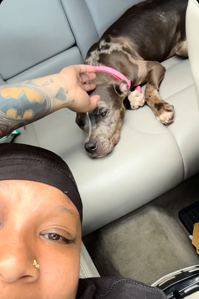 Cheezburger Image 10627760640