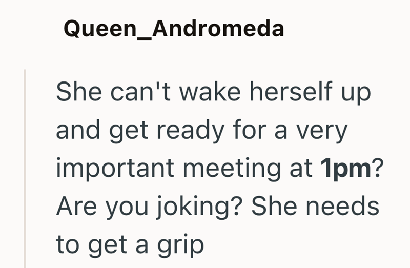 Queen_Andromeda She can't wake herself up and get ready for a very important meeting at 1pm? Are you joking? She needs to get a grip