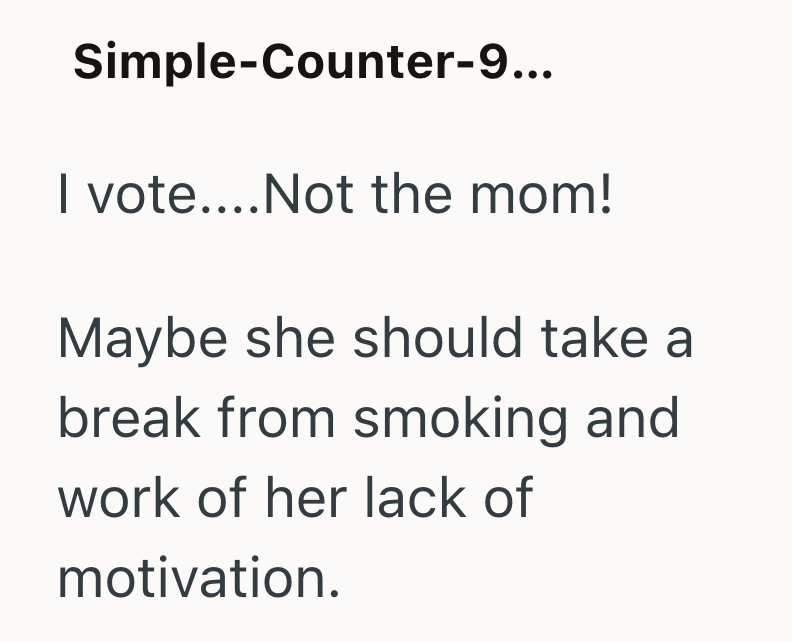 Simple-Counter-9... I vote.... Not the mom! Maybe she should take a break from smoking and work of her lack of motivation.