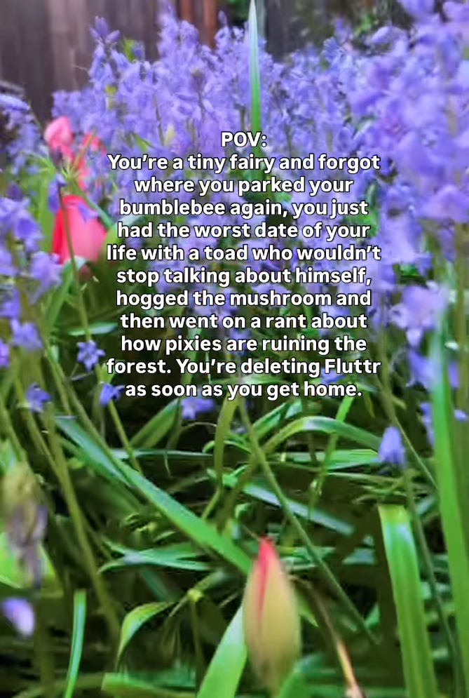 POV: You're a tiny fairy and forgot where you parked your bumblebee again, you just had the worst date of your life with a toad who wouldn't stop talking about himself, hogged the mushroom and then went on a rant about how pixies are ruining the forest. You're deleting Fluttr as soon as you get home.