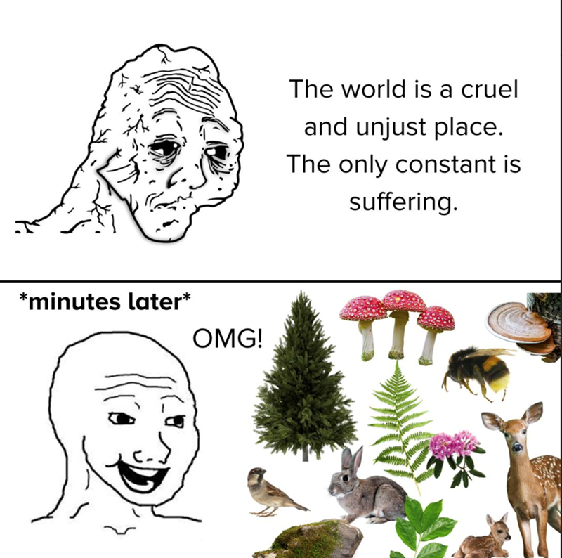 *minutes later* OMG! The world is a cruel and unjust place. The only constant is suffering.