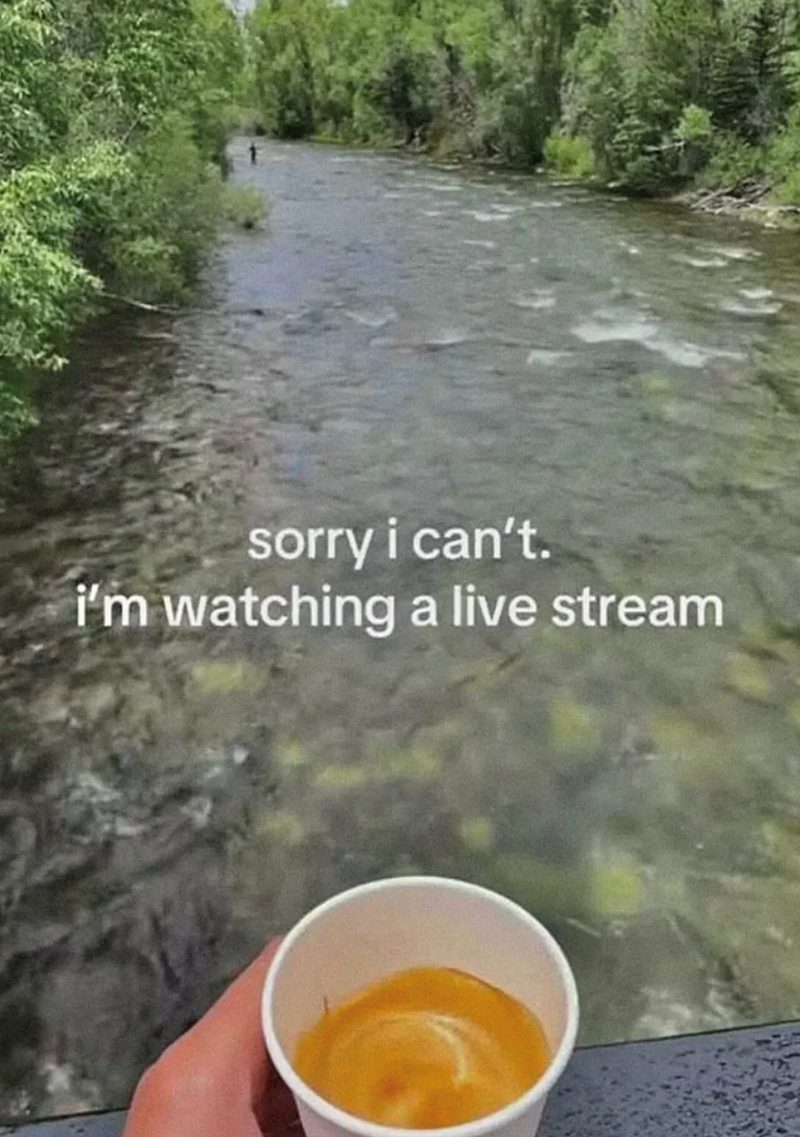 sorry i can't. i'm watching a live stream