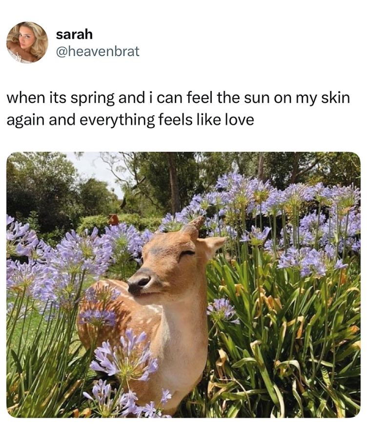 sarah @heavenbrat when its spring and i can feel the sun on my skin again and everything feels like love