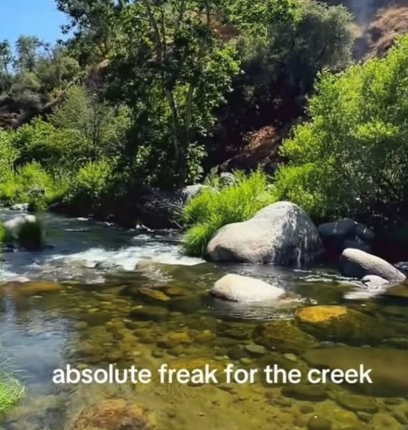 absolute freak for the creek