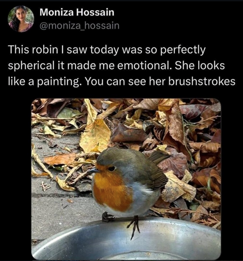 Moniza Hossain @moniza_hossain This robin I saw today was so perfectly spherical it made me emotional. She looks like a painting. You can see her brushstrokes