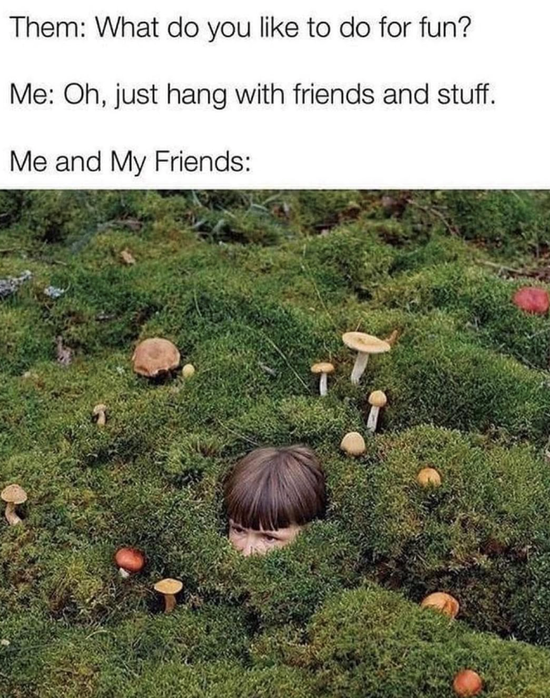 Them: What do you like to do for fun? Me: Oh, just hang with friends and stuff. Me and My Friends: