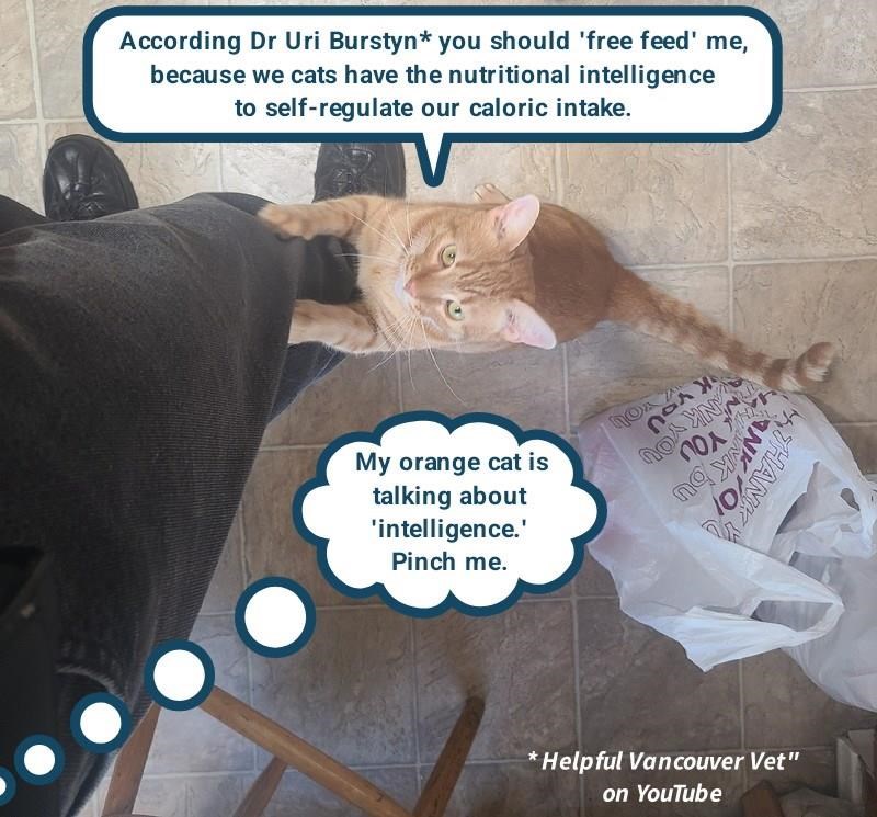 Cheezburger Image 10627779328