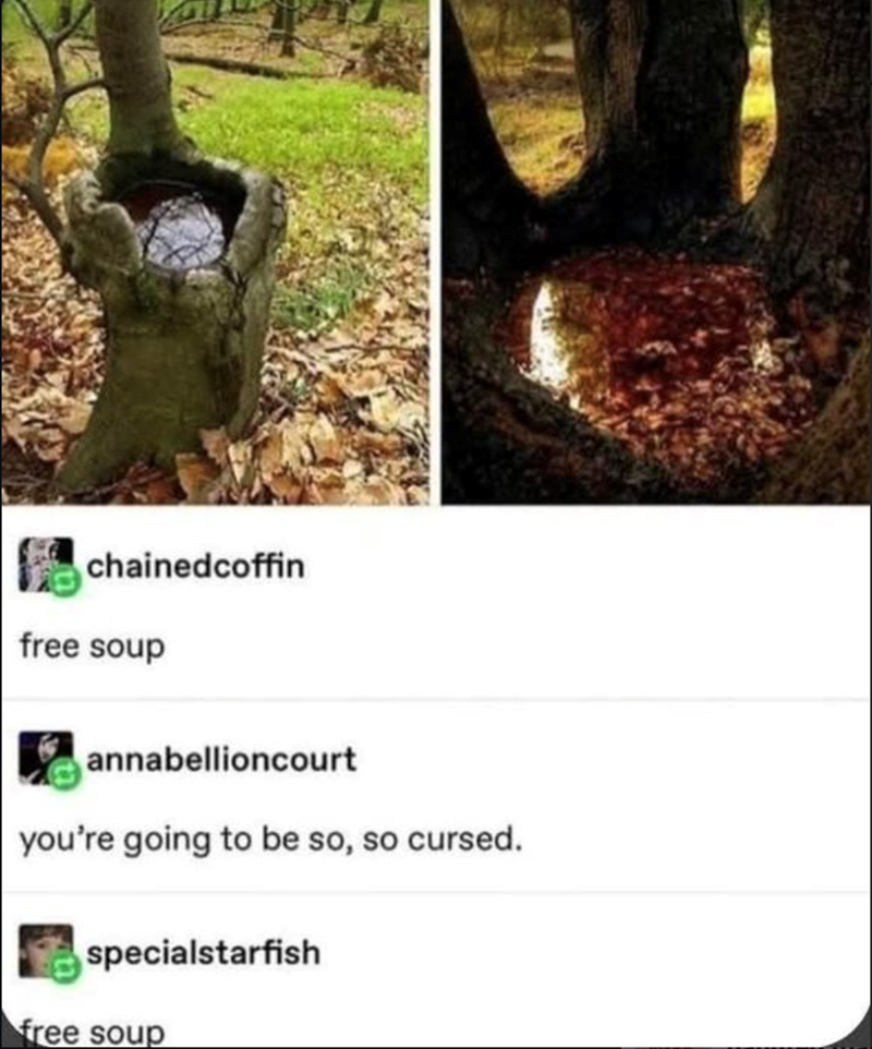 chainedcoffin free soup annabellioncourt you're going to be so, so cursed. specialstarfish free soup