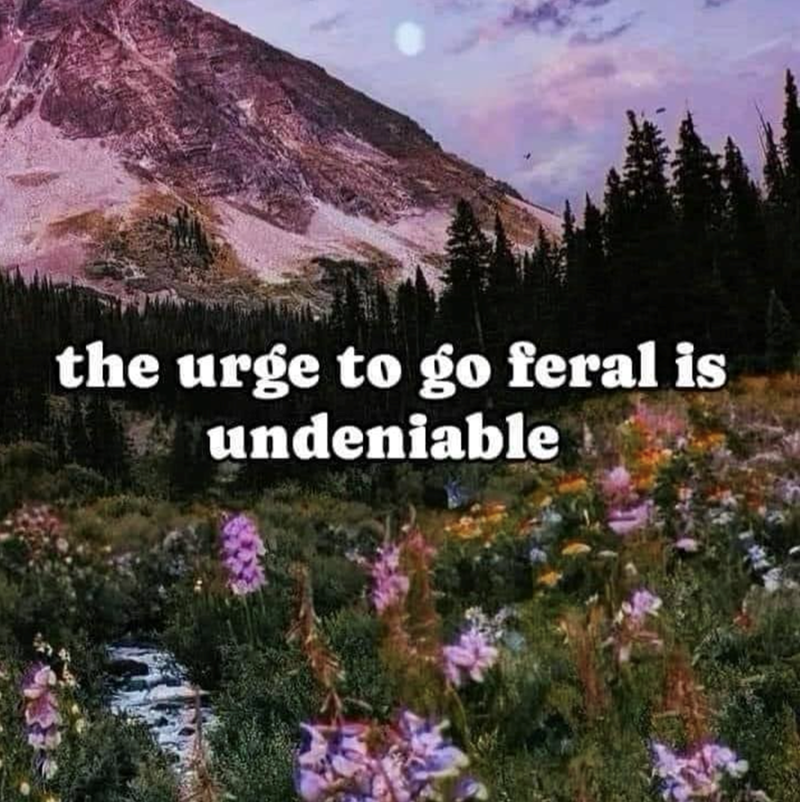 the urge to go feral is undeniable