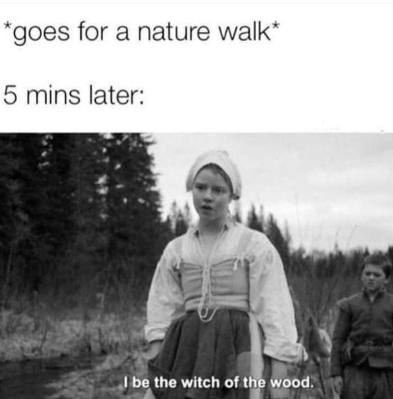 *goes for a nature walk* 5 mins later: I be the witch of the wood.