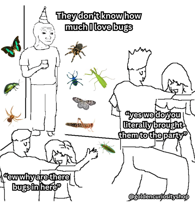 They don't know how much I love bugs "yes we do you literally brought them to the party" "ew why are there bugs in here" @goldencuriosityshop