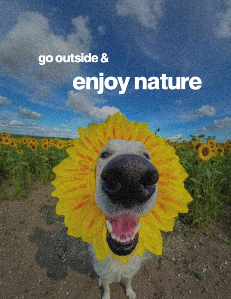 go outside & enjoy nature