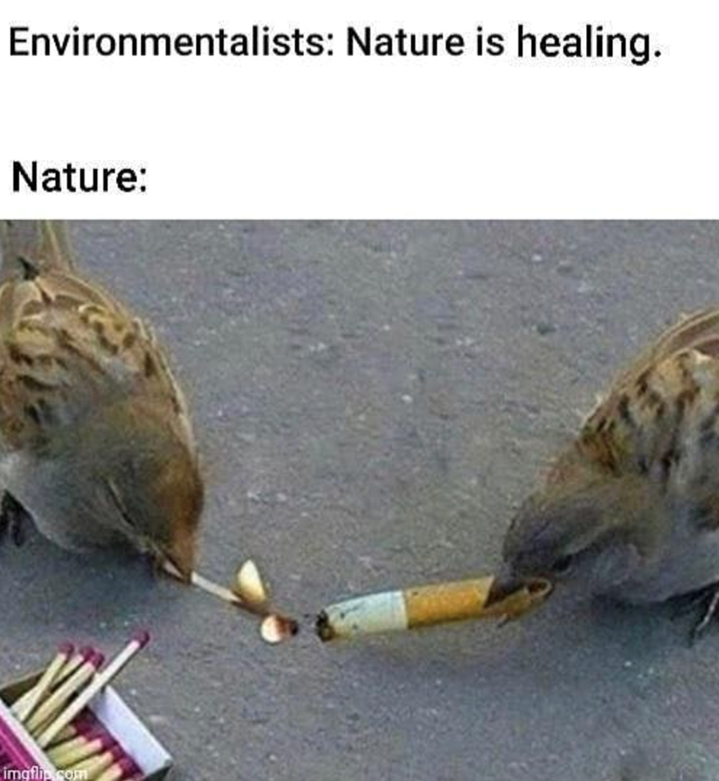 Environmentalists: Nature is healing. Nature: imgth.com