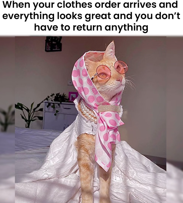 When your clothes order arrives and everything looks great and you don't have to return anything