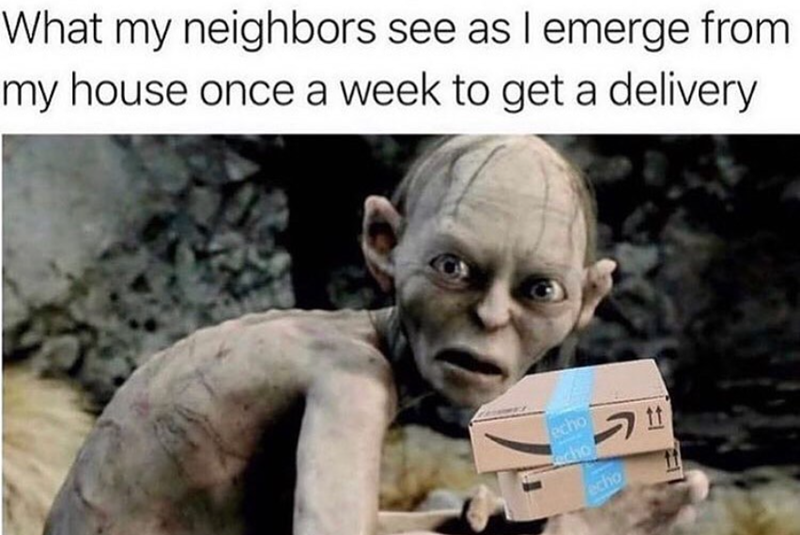 What my neighbors see as I emerge from my house once a week to get a delivery echo echo echo