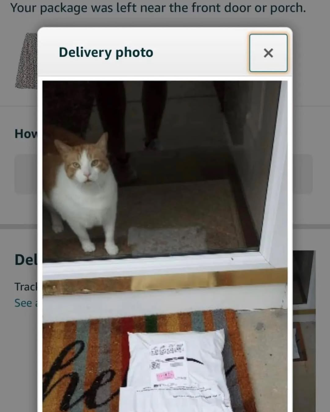 Your package was left near the front door or How Del Tracl See Delivery photo he 1300 か porch.
