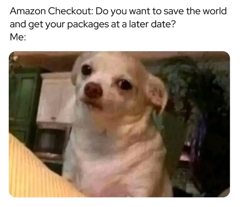 Amazon Checkout: Do you want to save the world and get your packages at a later date? Me: