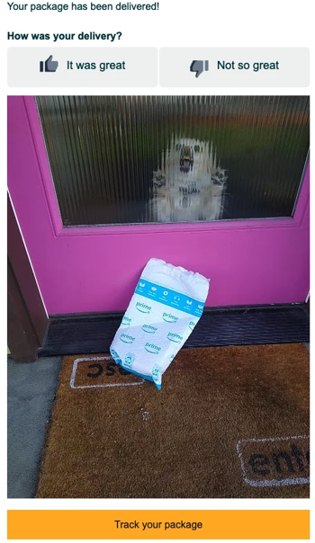 Your package has been delivered! How was your delivery? It was great Not so great 000 prime prime prime peme Track your package