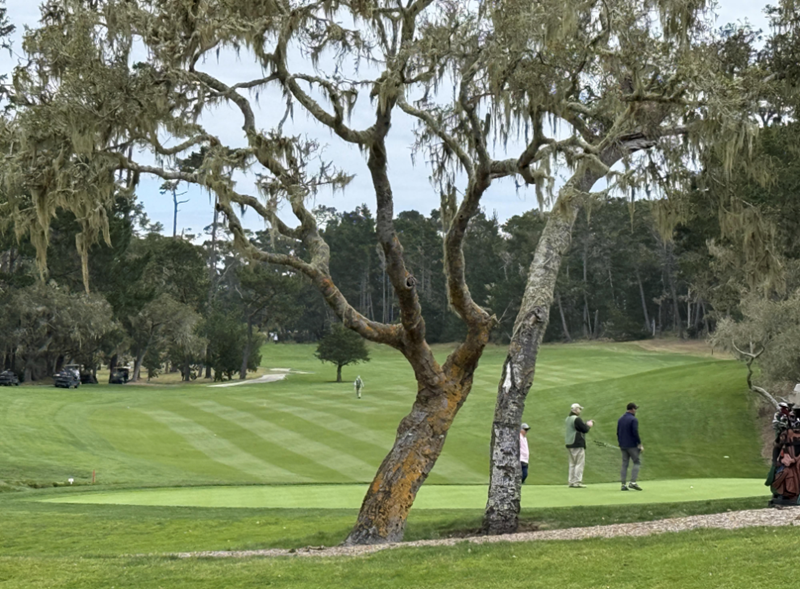 Cheezburger Image 10627801600