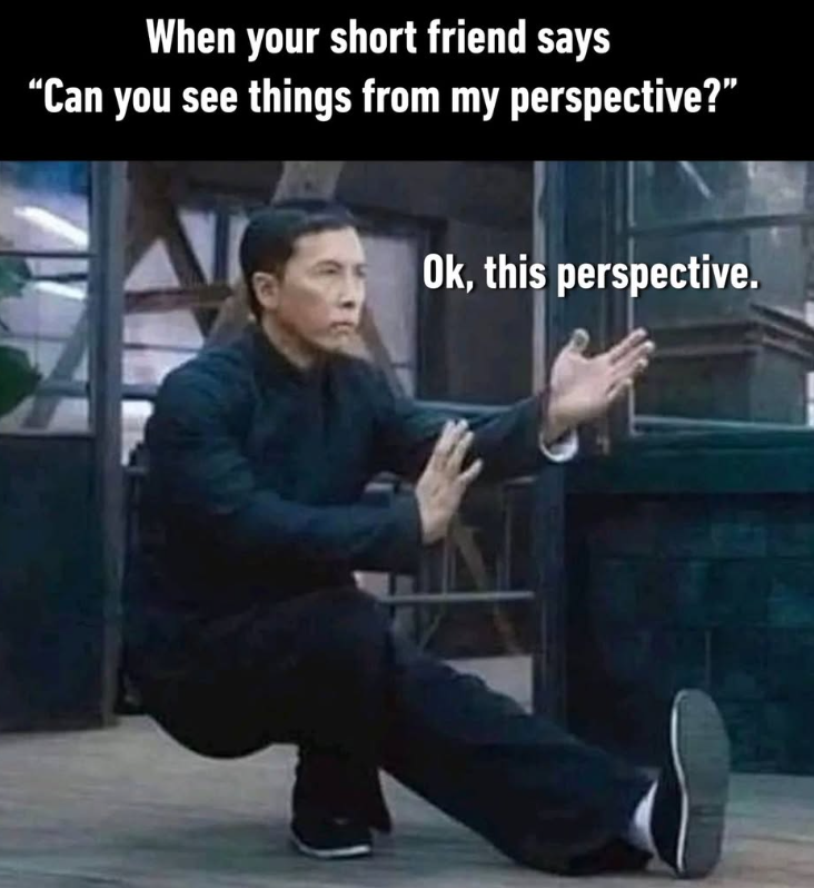When your short friend says “Can you see things from my perspective?” Ok, this perspective.