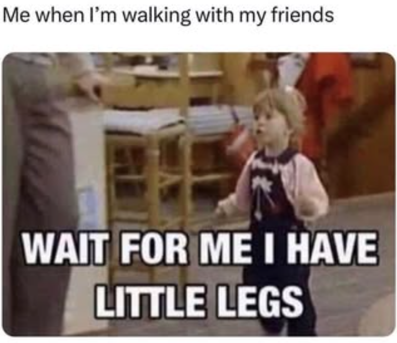 Me when I'm walking with my friends WAIT FOR ME I HAVE LITTLE LEGS