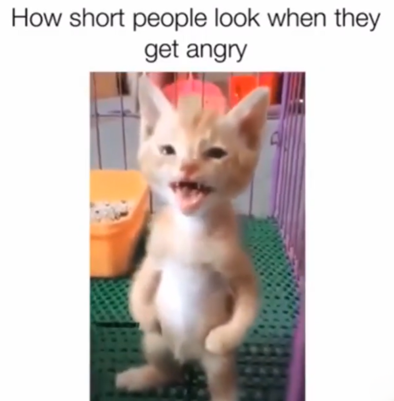 How short people look when they get angry