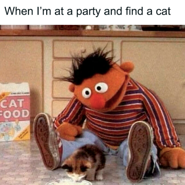 When I'm at a party and find a cat CAT FOOD
