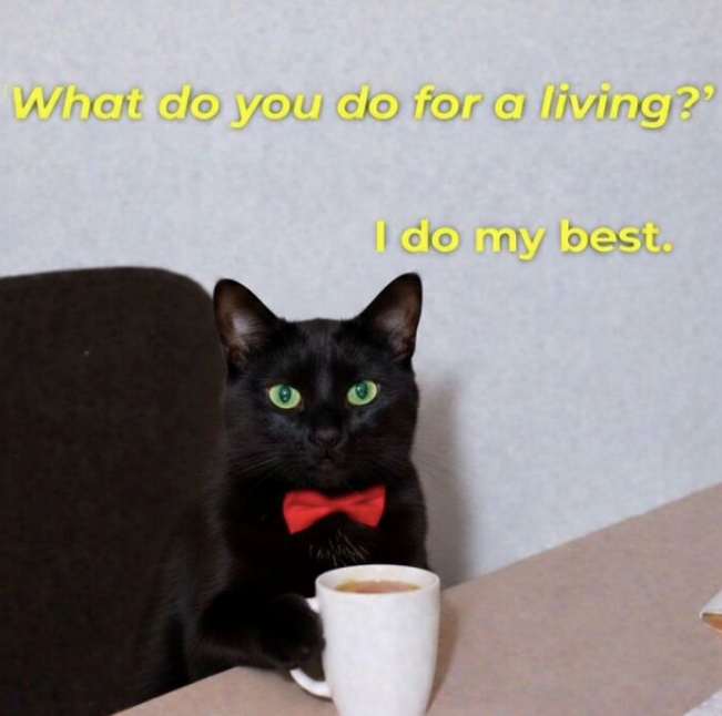 What do you do for a living?' I do my best.