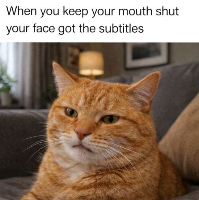 When you keep your mouth shut your face got the subtitles
