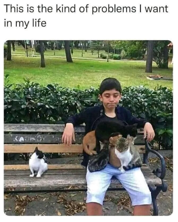 This is the kind of problems I want in my life