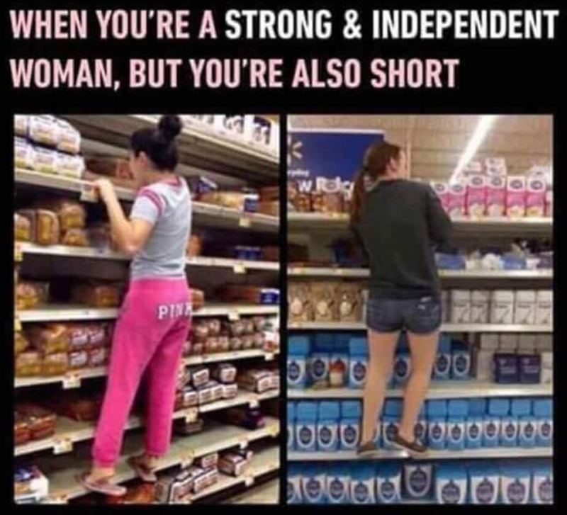 WHEN YOU'RE A STRONG & INDEPENDENT WOMAN, BUT YOU'RE ALSO SHORT PINK BETER C w Relg 00 1000 20000000