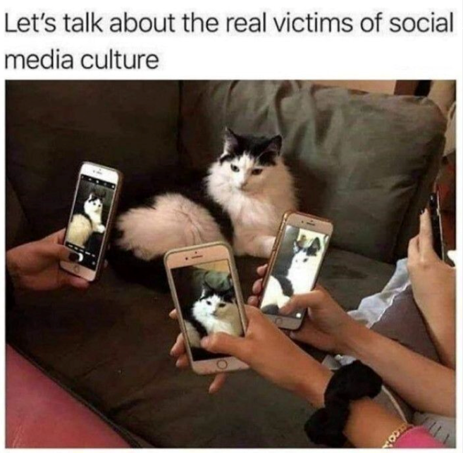 Let's talk about the real victims of social media culture O