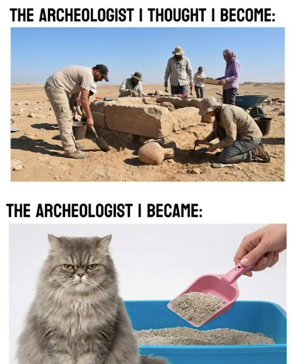 THE ARCHEOLOGIST I THOUGHT I BECOME: THE ARCHEOLOGIST I BECAME: