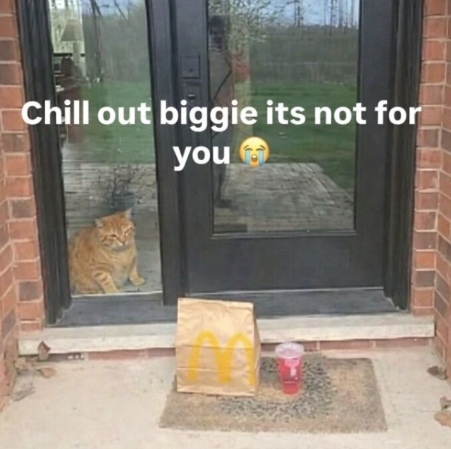 Chill out biggie its not for you
