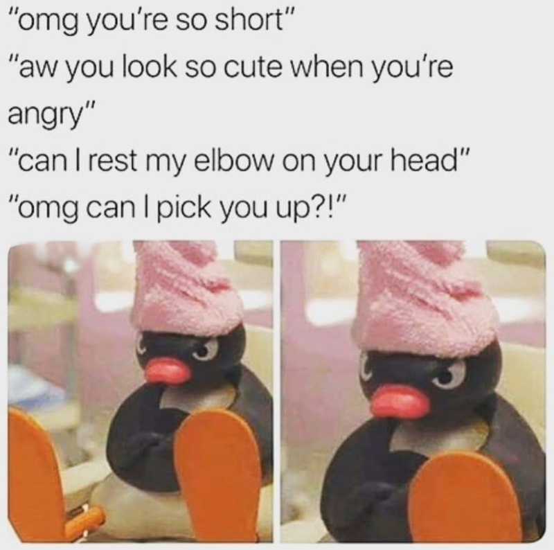 "omg you're so short" "aw you look so cute when you're angry" "can I rest my elbow on your head" "omg can I pick you up?!"