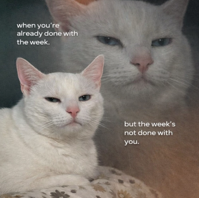 when you're already done with the week. but the week's not done with you.