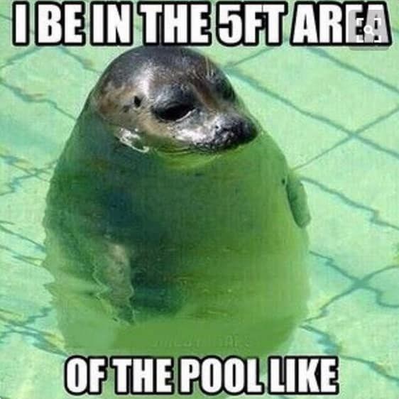 OBE IN THE 5FT AREA meat OF THE POOL LIKE