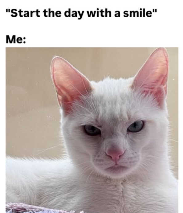 "Start the day with a smile" Me: