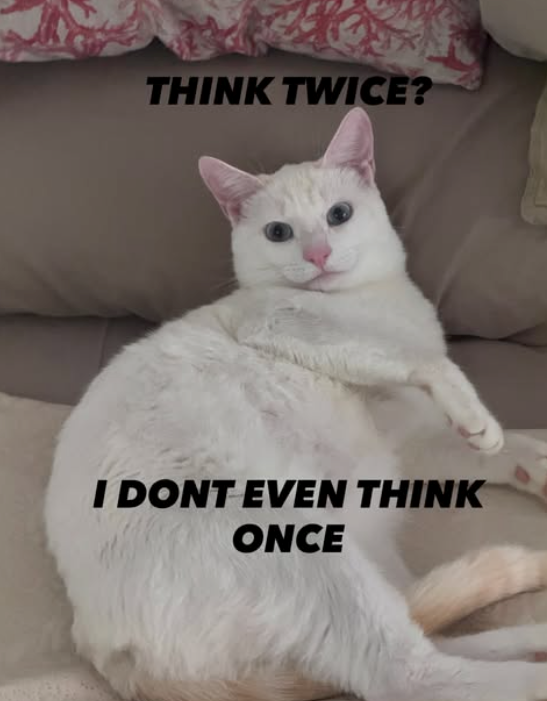 THINK TWICE? I DONT EVEN THINK ONCE