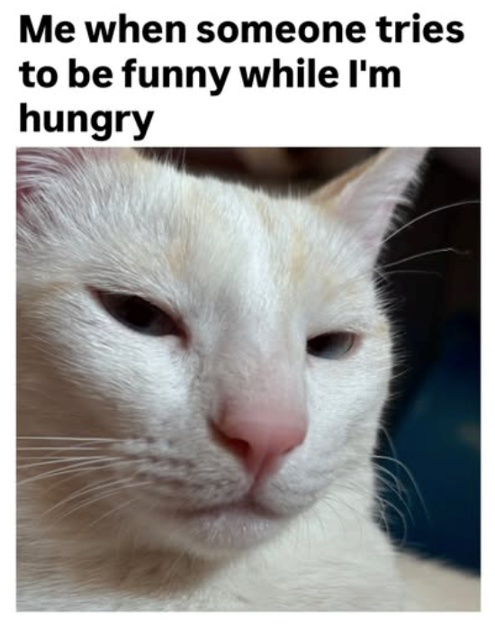 Me when someone tries to be funny while I'm hungry