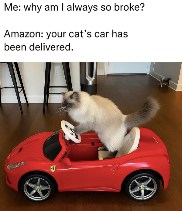 Me: why am I always so broke? Amazon: your cat's car has been delivered. B