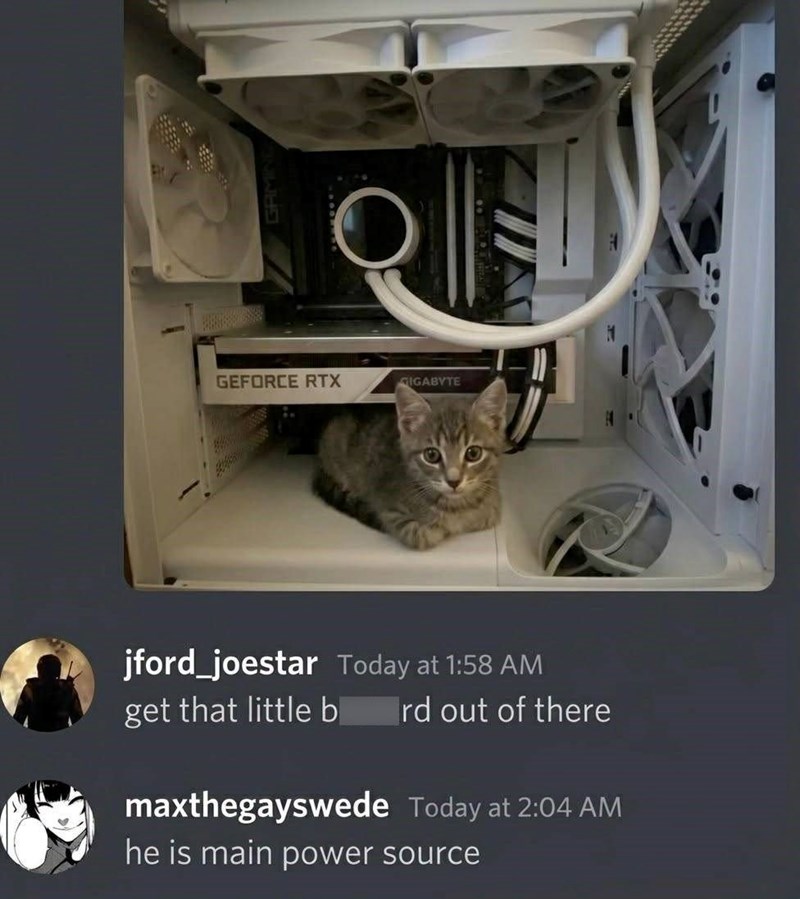 GEFORCE RTX GIGABYTE jford_joestar Today at 1:58 AM get that little b rd out of there maxthegayswede Today at 2:04 AM he is main power source