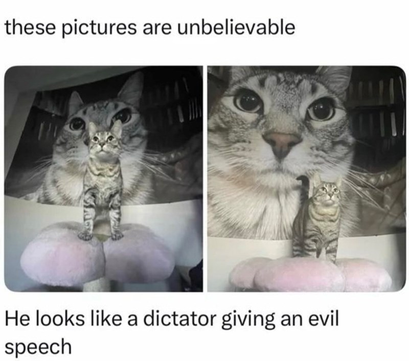 these pictures are unbelievable He looks like a dictator giving an evil speech