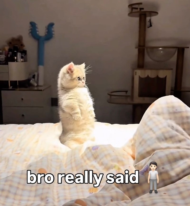 bro really said