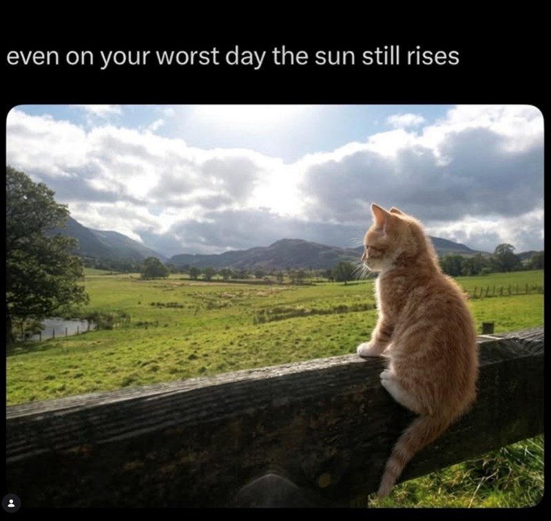even on your worst day the sun still rises
