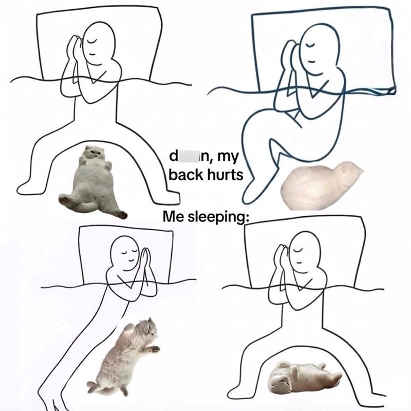 d n, my back hurts Me sleeping: