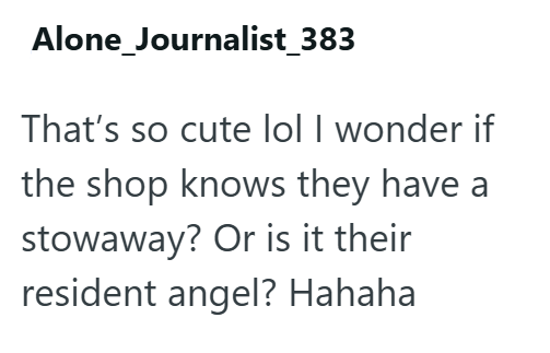 Alone_Journalist_383 That's so cute lol I wonder if the shop knows they have a stowaway? Or is it their resident angel? Hahaha