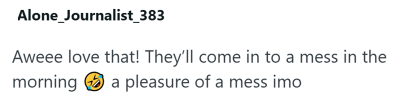 Alone_Journalist_383 Aweee love that! They'll come in to a mess in the morning a pleasure of a mess imo