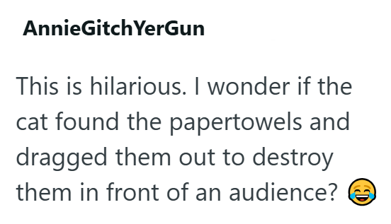 AnnieGitch YerGun This is hilarious. I wonder if the cat found the papertowels and dragged them out to destroy them in front of an audience?