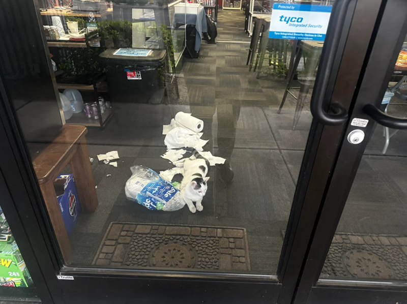 W 24 CTrulite Protected by Tyco tyco Integrated Security Security Devices in Use GRCHO